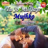 About Tu Jo Mil jaye Mujhko Song